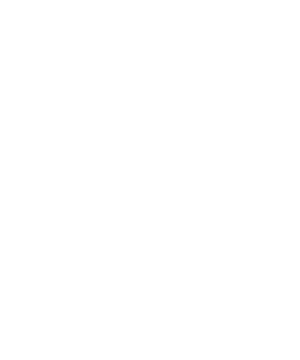 Elf bar